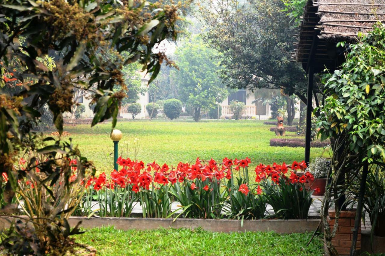 Chitwan Paradise Hotel Sauraha Buitenkant foto
