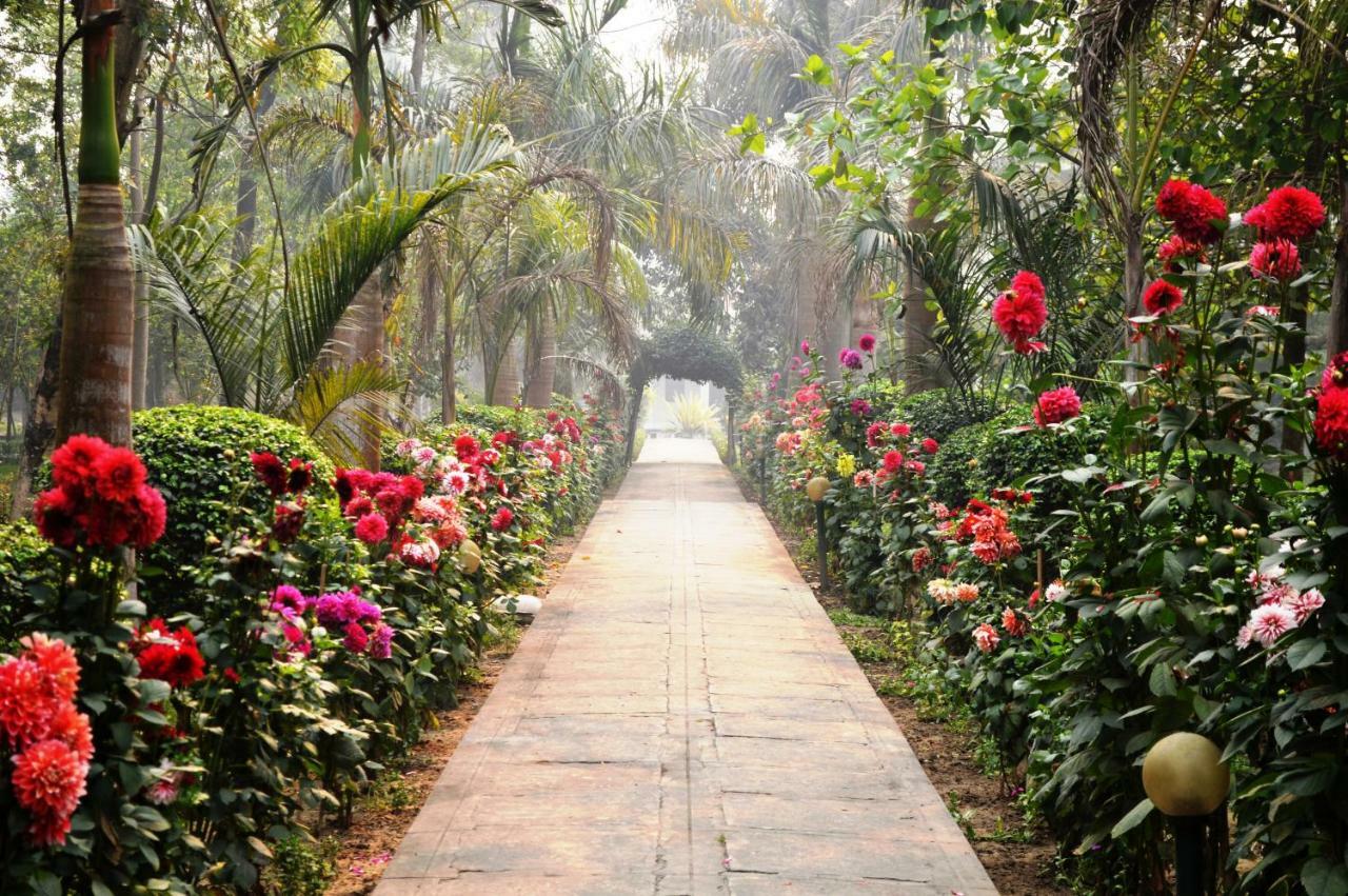 Chitwan Paradise Hotel Sauraha Buitenkant foto