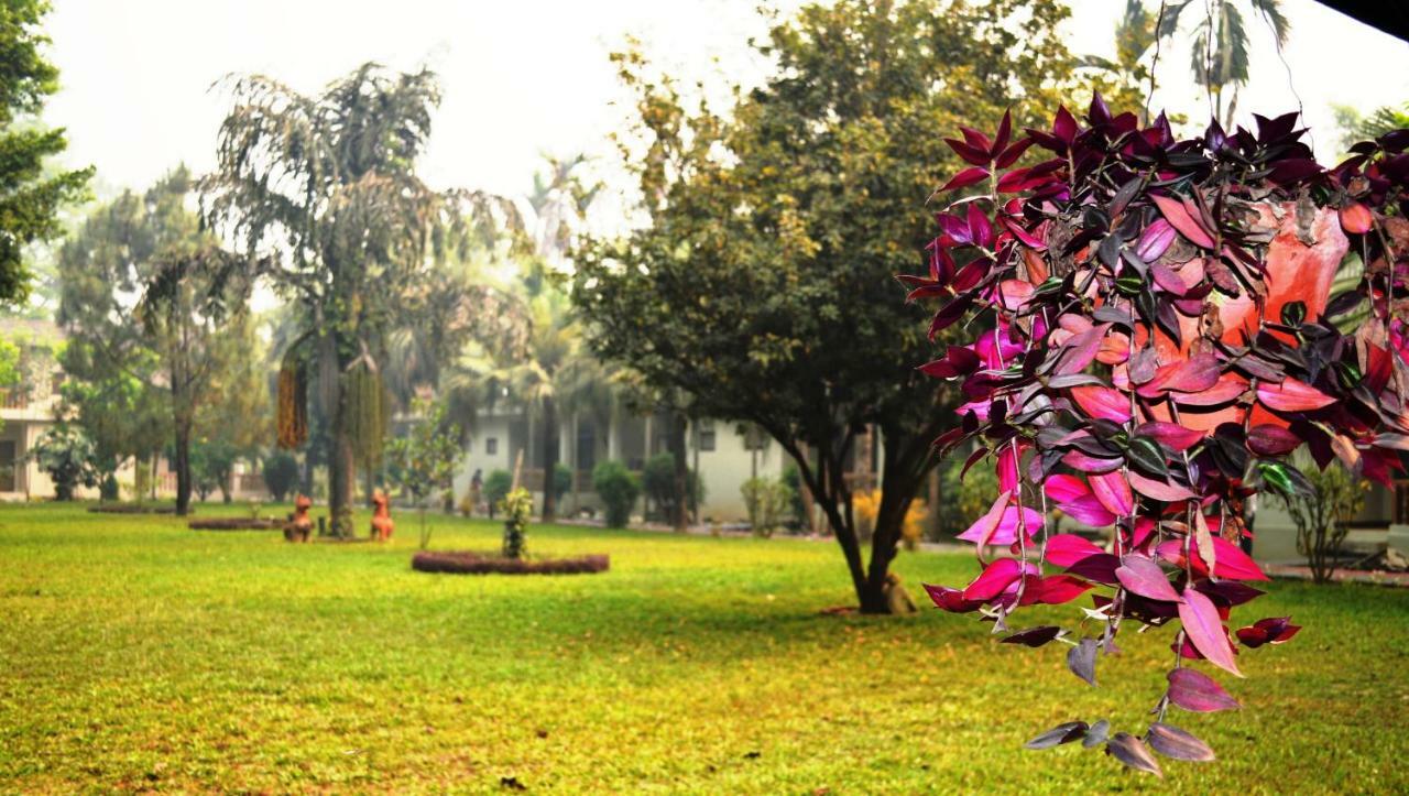 Chitwan Paradise Hotel Sauraha Buitenkant foto